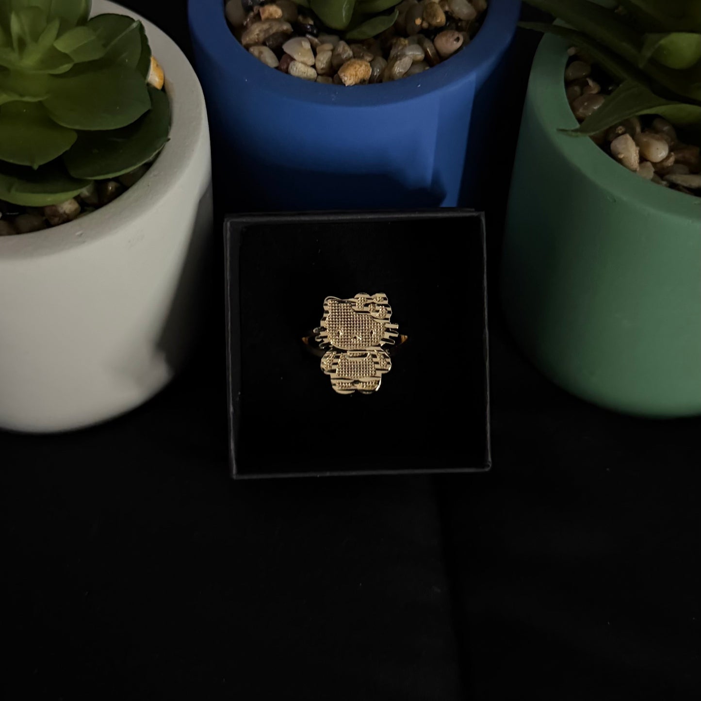 HK Gold Filled Ring