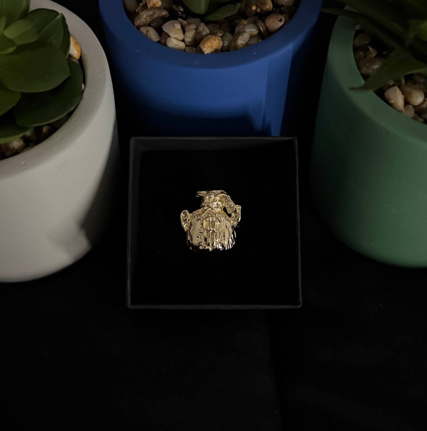 Money Bag Ring