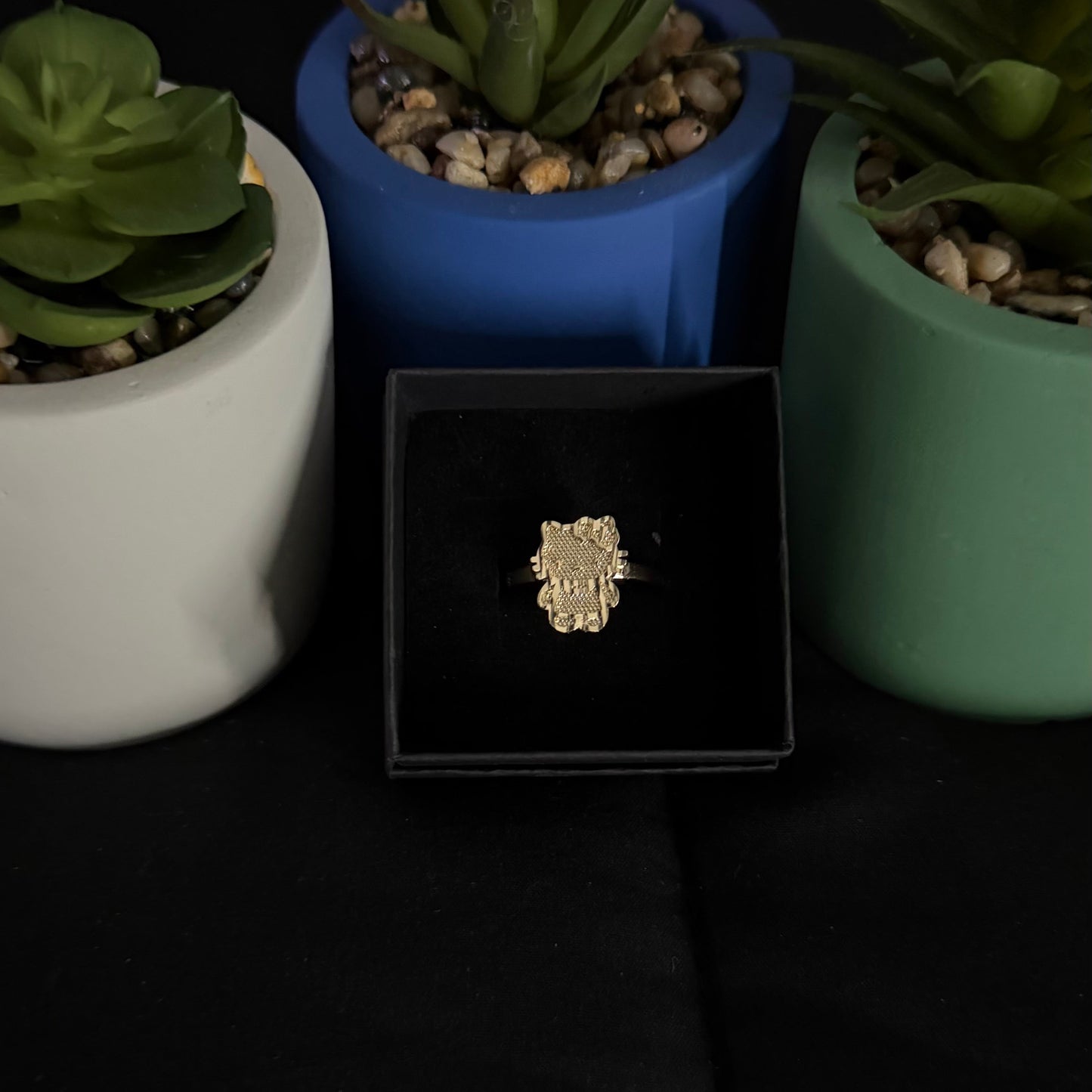 Small HK Gold Filled Ring